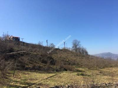 Trabzon Dolaylı Da Satılık 8.973 M2 Arazi 2