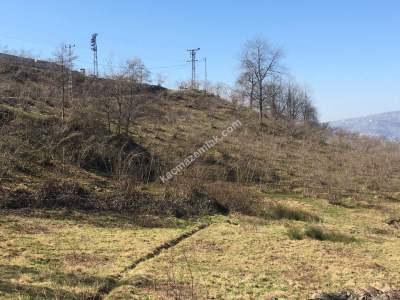 Trabzon Dolaylı Da Satılık 8.973 M2 Arazi 4