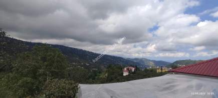 Ortahisar Geçit Mahallesinde Satılık Fındık Bahçesi. 6