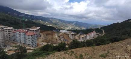 Ortahisar Geçit Mahallesinde Satılık Fındık Bahçesi. 16