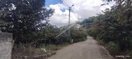 Ortahisar Geçit Mahallesinde Satılık Fındık Bahçesi. 10