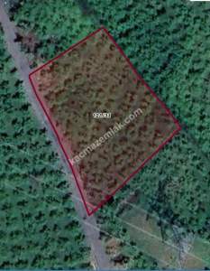 Trabzon Gölçayır Da Satılık 989 M2 Arsa 9