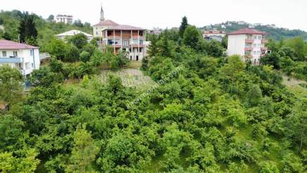 Trabzon Gölçayır Da Satılık 2567 M2 Arazi 2
