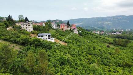 Trabzon Gölçayır Da Satılık 2567 M2 Arazi 11