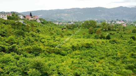 Trabzon Gölçayır Da Satılık 989 M2 Arsa 4
