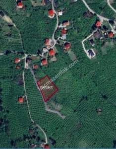 Trabzon Gölçayır Da Satılık 989 M2 Arsa 8