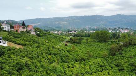 Trabzon Gölçayır Da Satılık 989 M2 Arsa 10