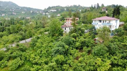Trabzon Gölçayır Da Satılık 2567 M2 Arazi 3