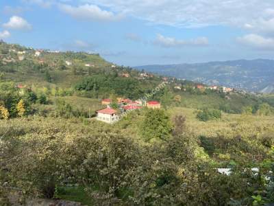 Trabzon Ortahisar Gözalan Mahallesinde Satılık Arazi 1