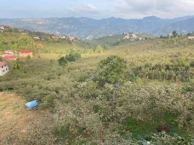 Trabzon Ortahisar Gözalan Mahallesinde Satılık Arazi 14