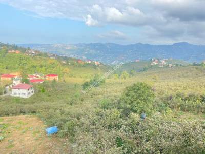 Trabzon Ortahisar Gözalan Mahallesinde Satılık Arazi 15
