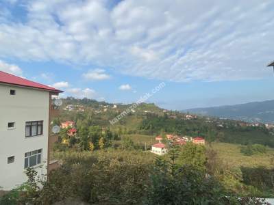 Trabzon Ortahisar Gözalan Mahallesinde Satılık Arazi 25