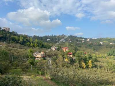 Trabzon Ortahisar Gözalan Mahallesinde Satılık Arazi 11