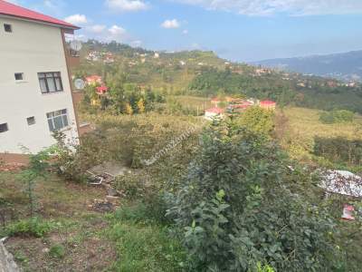Trabzon Ortahisar Gözalan Mahallesinde Satılık Arazi 23