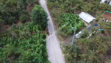 Trabzon Ortahisar İncesu'da Merkeze Yakın Satılık Araz 5