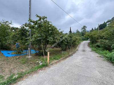 Trabzon Ortahisar İncesu'da Merkeze Yakın Satılık Araz 17