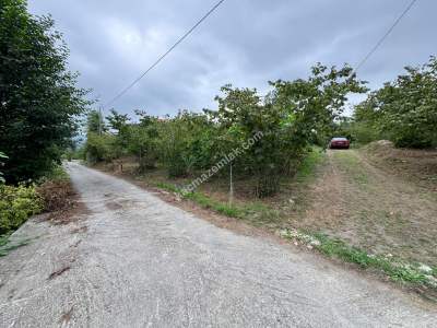 Trabzon Ortahisar İncesu'da Merkeze Yakın Satılık Araz 15