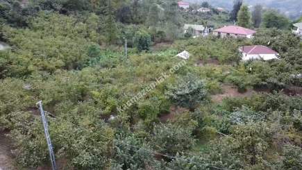 Trabzon Ortahisar İncesu'da Merkeze Yakın Satılık Araz 13