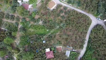 Trabzon Ortahisar İncesu'da Merkeze Yakın Satılık Araz 3