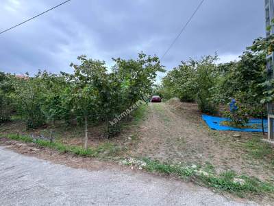 Trabzon Ortahisar İncesu'da Merkeze Yakın Satılık Araz 2
