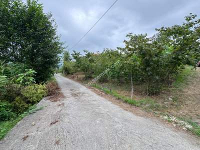 Trabzon Ortahisar İncesu'da Merkeze Yakın Satılık Araz 16