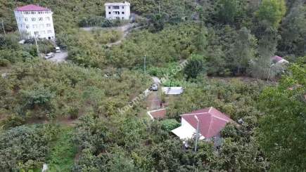 Trabzon Ortahisar İncesu'da Merkeze Yakın Satılık Araz 6