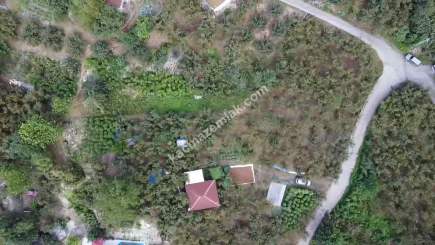 Trabzon Ortahisar İncesu'da Merkeze Yakın Satılık Araz 1