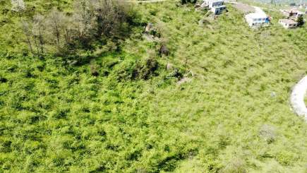 Trabzon Karlık Mah.full Deniz Manzaralı Arazi 13