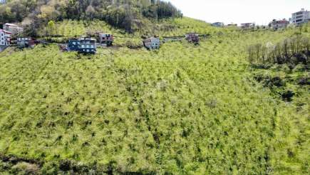 Trabzon Karlık Mah.full Deniz Manzaralı Arazi 20