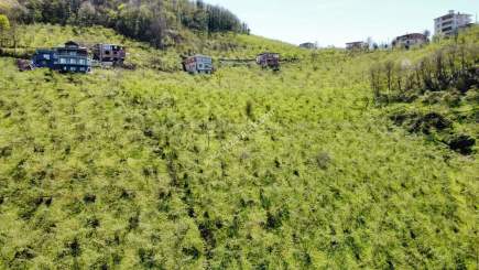 Trabzon Karlık Mah.full Deniz Manzaralı Arazi 18