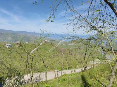Trabzon Karlık Mah.full Deniz Manzaralı Arazi 21