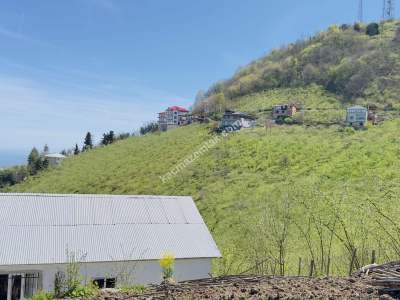 Trabzon Karlık Mah.full Deniz Manzaralı Arazi 19