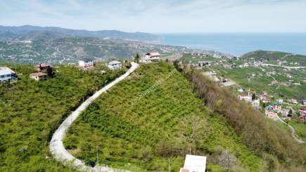 Trabzon Karlık Mah.full Deniz Manzaralı Arazi 8