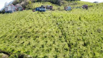 Trabzon Karlık Mah.full Deniz Manzaralı Arazi 16
