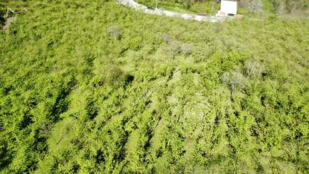 Trabzon Karlık Mah.full Deniz Manzaralı Arazi 17