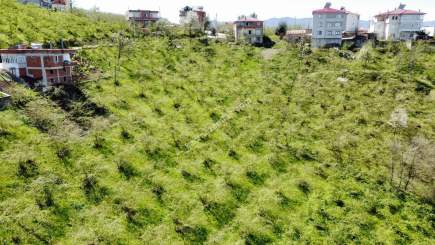 Trabzon Karlık Mah.full Deniz Manzaralı Arazi 12