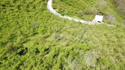 Trabzon Karlık Mah.full Deniz Manzaralı Arazi 9