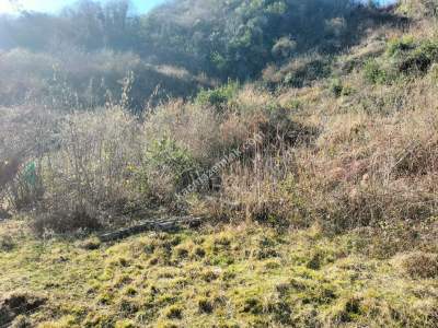 Trabzon Ortahisar Kutlugün'de Satılık Arazi 1