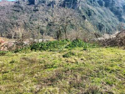 Trabzon Ortahisar Kutlugün'de Satılık Arazi 5