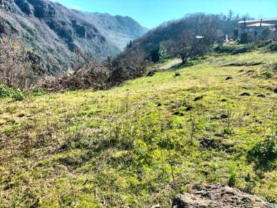 Trabzon Ortahisar Kutlugün'de Satılık Arazi 4