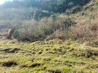 Trabzon Ortahisar Kutlugün'de Satılık Arazi 7