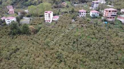 Trabzon Kutlugün Mah Satılık Arsa 2