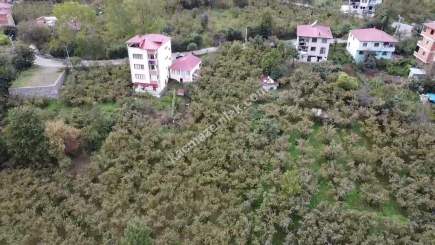 Trabzon Kutlugün Mah Satılık Arsa 6