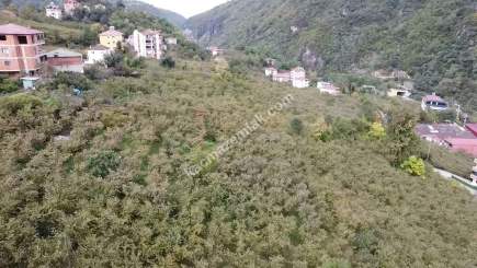 Trabzon Kutlugün Mah Satılık Arsa 3