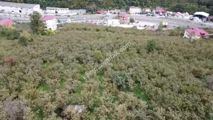 Trabzon Kutlugün Mah Satılık Arsa 11