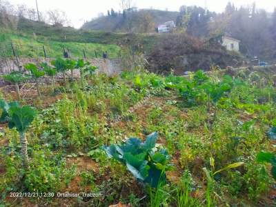Trabzon Ortahisar Uğurlu Mahallesinde Satılık Arazı 13