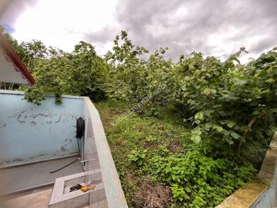 Merkez Oğlu Mahallesi’nde Satılık Duvarları Yapılmış Ar 17