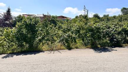 Trabzon Gürbulak Ta Köşe Parsel Satılık Arazi 7