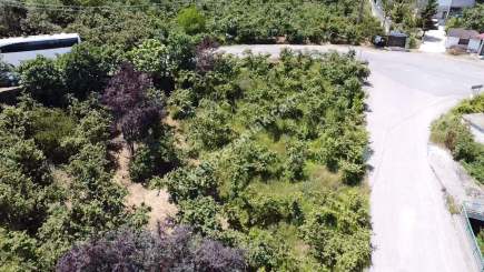 Trabzon Gürbulak Ta Köşe Parsel Satılık Arazi 3