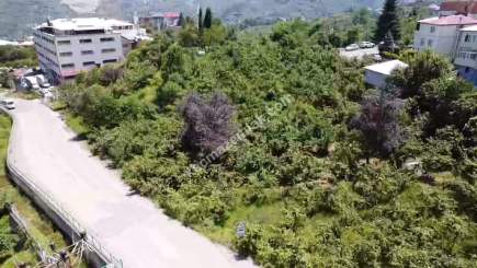 Trabzon Gürbulak Ta Köşe Parsel Satılık Arazi 4